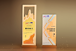 PA真人视讯国际一举斩获“2024年度中国区最佳雇主”等多项大奖